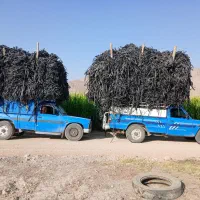 حمل بار باوانت نیسان درون شهری وبیرون شهری