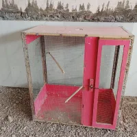 قفس ام دی آف