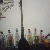 یک عدد سه تار نویه نو