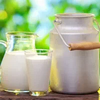 شیرتازه محلی