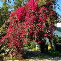 فروش ویلا بر اصلی خزرشهر شمالی