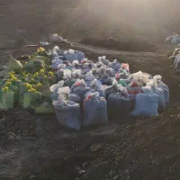 کود کشاورزی هیومیک اسید لوناردیت|خدمات باغبانی و درختکاری|تربت جام, جامرود|دیوار