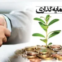 دعوت به سرمایه گذاری در هلدینگ بازرگانی