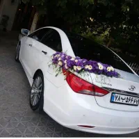 گل وگیاه لاکچری، کیفیت بالا، قیمت مناسب