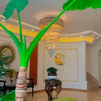 همکاری با لیدر و بیمار یاب با شرایط خوب