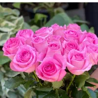 اجاره منزل مسکونی