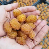 فروش آلو بخارا