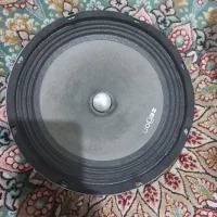 میدرنج سایز ۸ zenoon