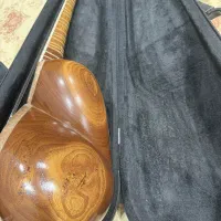 تار حرفه ای برزی