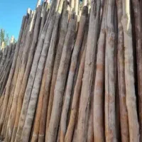 خریدار چوب