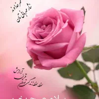 مدارک بنام زنگویی پیدا شده