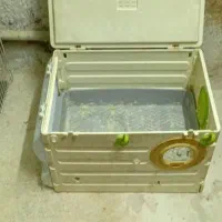 قفس وآغول|لوازم جانبی حیوانات|قوچان, |دیوار