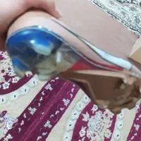 ابلهدذزبیبتقنقننقنلدردخیخصادصکث|کیف، کفش، کمربند|اهواز, ۲۰۰۰واحدی|دیوار