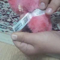 لبوبو تازه|اسباب‌‌بازی|نقده, |دیوار
