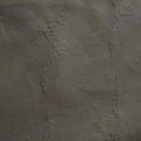 وسایلمنزل|حراج|تربتحیدریه, رضاشهر|دیوار