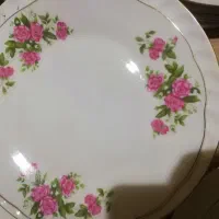 چینی|ظروف سرو و پذیرایی|همدان, |دیوار