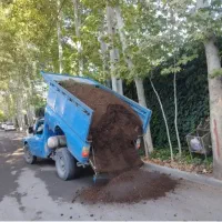 کود حیوانی گاوی وگوسفندی