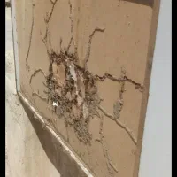 شرکت سم پاشی و موریانه زدایی(آسایش) با مجوز رسمی