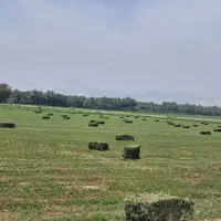 پرس ی و ن ج ه