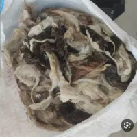 فروش لحاف|رختخواب، بالش، پتو|میاندوآب, |دیوار