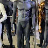 تمام تنه و نیم تنه