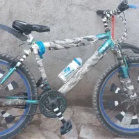 دوچرخه ۲۷/۵ ویوا سند دار