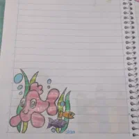 دفتر مشق، دفتر املا نقاشی شده