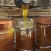 .. عسل کنار..|عمده‌فروشی|شیراز, قلات|دیوار