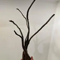 چوب آبنوس و سنگ آکواریوم|ماهی|شیراز, تندگویان|دیوار