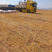 کاه ۱۰۰ تن یکجا.  قیمت ۹ تومن