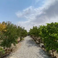 اجاره ویلا صفادشت|اجارهٔ کوتاهمدت ویلا و باغ|صفادشت, |دیوار