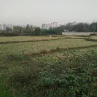 زمین به متراژ4000هزار متر.رشت /سراوان