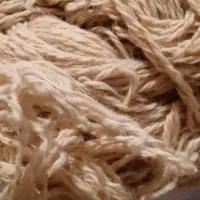 گل طبیعی دیفن باخیا و نخ قالی دستباف|گل و گیاه طبیعی|خرمآباد, |دیوار