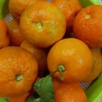 نارنج دستچین ابداار۱۶۰۰۰|خوردنی و آشامیدنی|گوراب زرمیخ, |دیوار