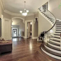 خانم جهت گردگیری