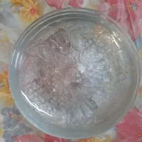 پیش دستی