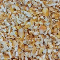 دانه سرا و ملزومات پرندگان آذر|لوازم جانبی حیوانات|میناب, |دیوار