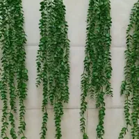 آویزهای شمشادهمیشه سبز