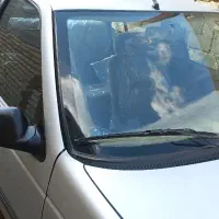 پژو405 مدل92عروسک|خودرو سواری و وانت|همدان, |دیوار