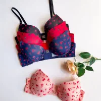 لباسزیر، گالری روجا