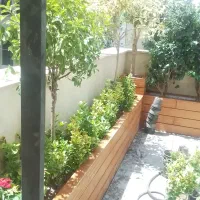 درختچه های زینتی|گل و گیاه طبیعی|پاکدشت, پاکدشت (مامازند)|دیوار