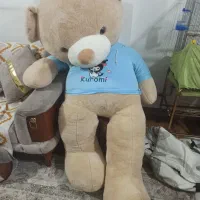 خرس عروسکی