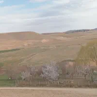 علف فروش