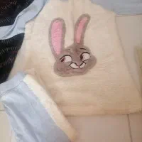 تعدادی لباس تمیز و سالم|لباس|ساری, |دیوار