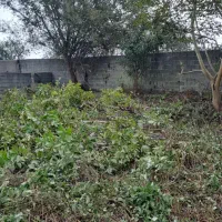 فروش زمین بافت  ۳۶۴ متری دوجمان محله تهرانی نشین|فروش زمین و ملک کلنگی|هچیرود, |دیوار