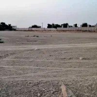 فروش زمین کشاورزی دامپروری|فروش دفتر صنعتی، کشاورزی، تجاری|اهواز, زیتون کارمندی|دیوار