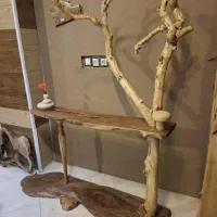 کنسول چوب گردو و شاخه طبیعی نارنج
