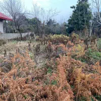 فروش زمین کوهپایه ای ۵۳۰ متری در گورابزرمیخ|فروش زمین و ملک کلنگی|گوراب زرمیخ, |دیوار