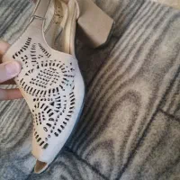 کفش مجلسی و بوت|کیف، کفش، کمربند|تربت جام, شهرک آزادگان|دیوار