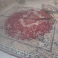 فرش